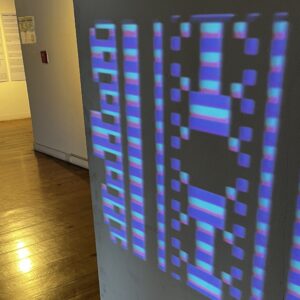 Playfields - Diego Alberti - Hashtag 3 - Pabellón de las Bellas Artes UCA 2025