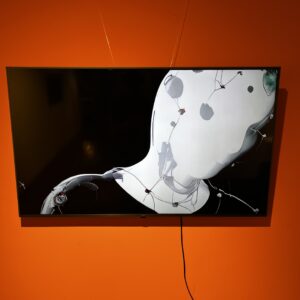 Resonancias - NTSCconcept, Sebastián Ferreyra y Laury Moulia, - Hashtag 3 - Pabellon de las Bellas Artes UCA 2025