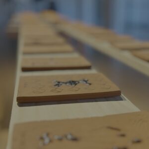 Calicata: Semántica del Barro - María Laura Pini y Mariano Fernandez Zaragoza - Hashtag 3 - Pabellon de las Bellas Artes UCA 2025